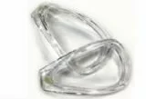 Eagle Optical Lens