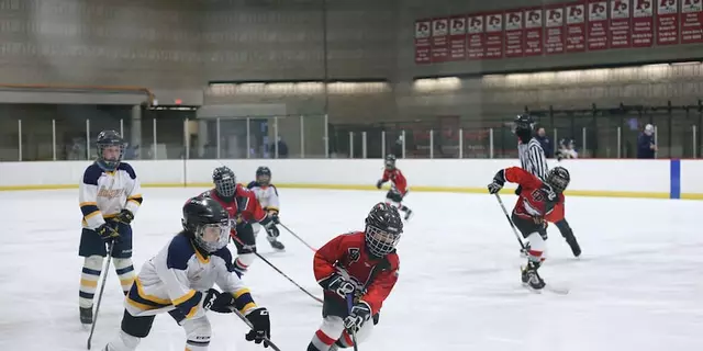 Is fist fighting actually allowed in ice hockey?